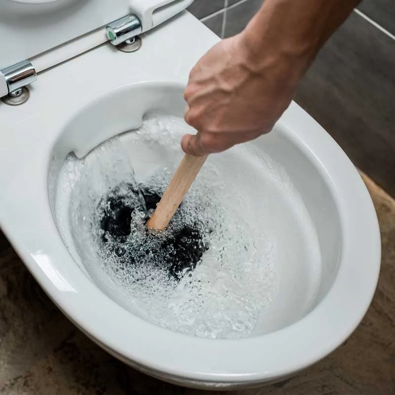 Saugglocke, Plömpel, Pümpel, Hektor, Abflussglocke bei verstopfter Toilette