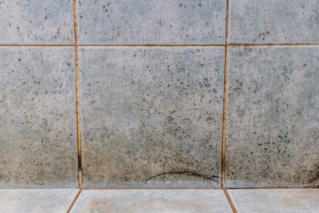 Removing mould from tiles and silicone joints